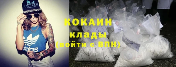 прущие грибы Богданович