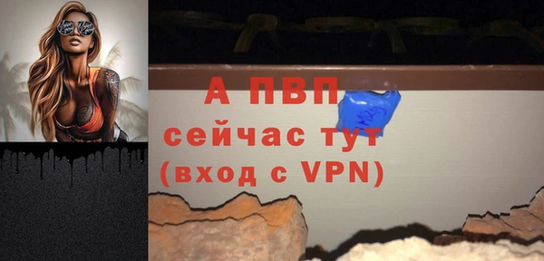 прущие грибы Богданович