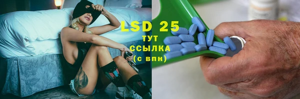 прущие грибы Богданович
