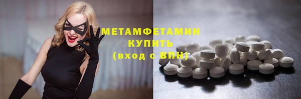 прущие грибы Богданович