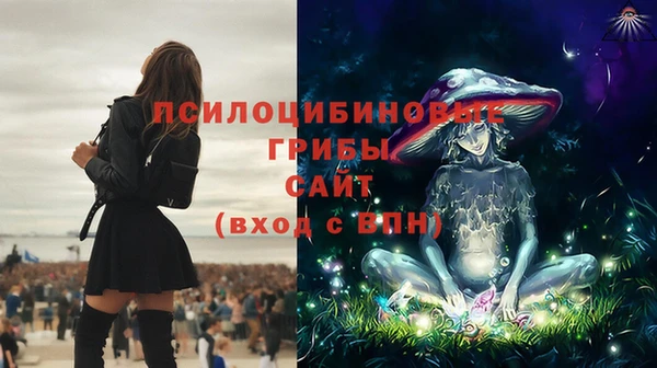 ешки Богородицк