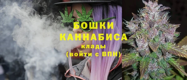 прущие грибы Богданович