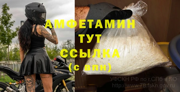 прущие грибы Богданович