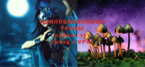 ешки Богородицк