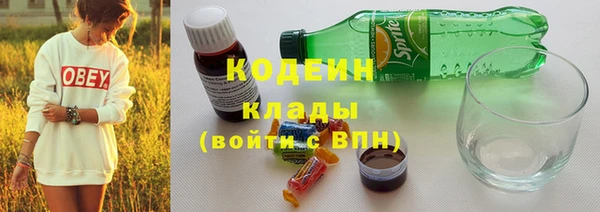 прущие грибы Богданович