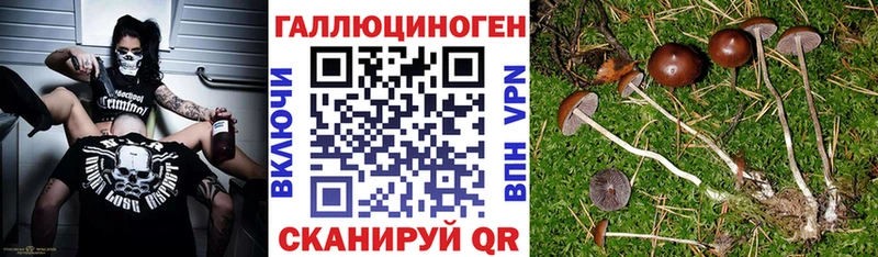 Галлюциногенные грибы MAGIC MUSHROOMS  OMG зеркало  Краснослободск 